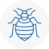 Bed Bug Extermination In Romiley