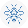 Romiley Hornet Nest Removals