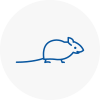 Mice Exterminators In Romiley