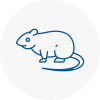 Rat Control Romiley
