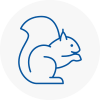 Romiley Rodent Removals
