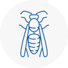 Romiley Wasp Nest Removal